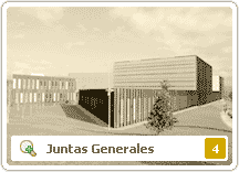 Juntas Generales (4)