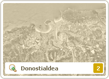 Donostialdea (2)