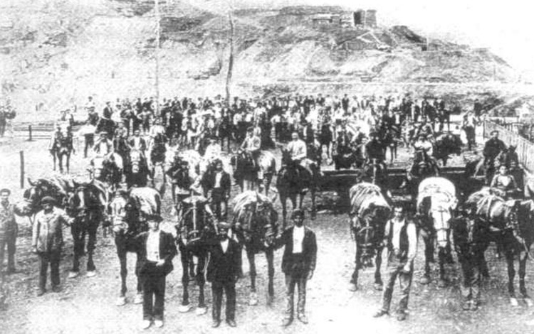 Zaldi-adituak eta peoiak