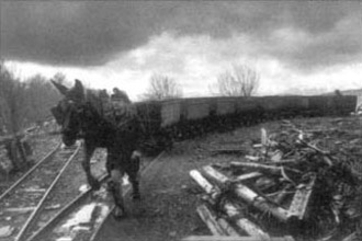 Tracción animal en el transpore de mineral.