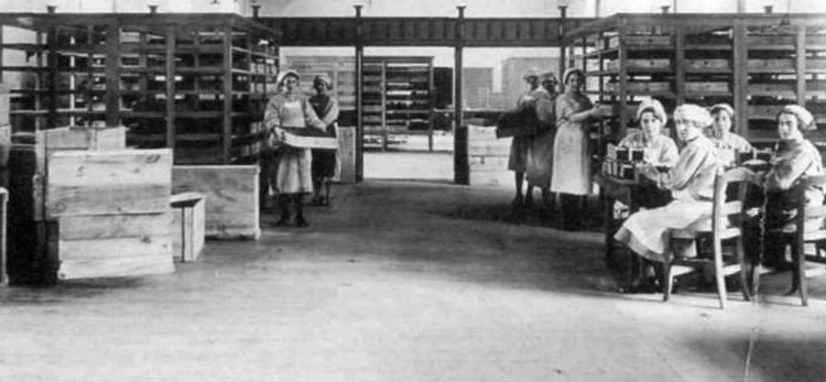 FARIAS zigarroak egurasteko tailerra