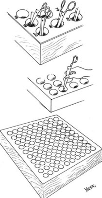 aparejamiento de las dos hojas