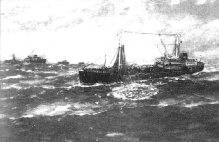 Pesca de bacalao en Terranova