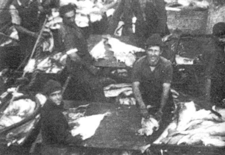 Ontzian arraina despiskatzen eguraldi ona lagun