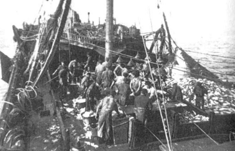 Ternuan bakailaoa arrantzatzen