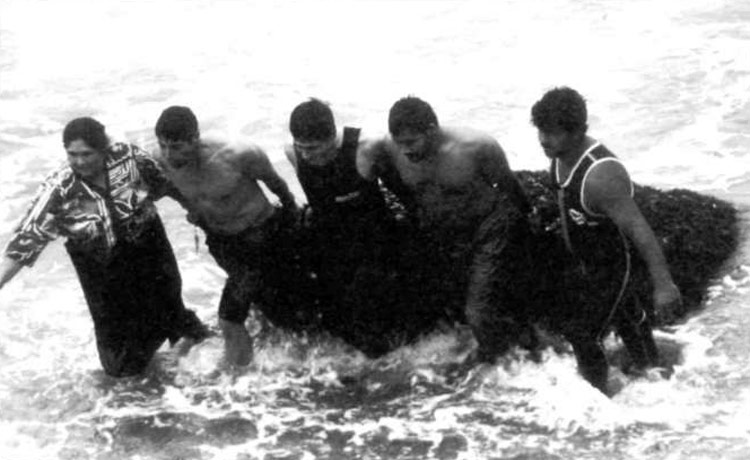 Equipo de cinco gitanos portugueses