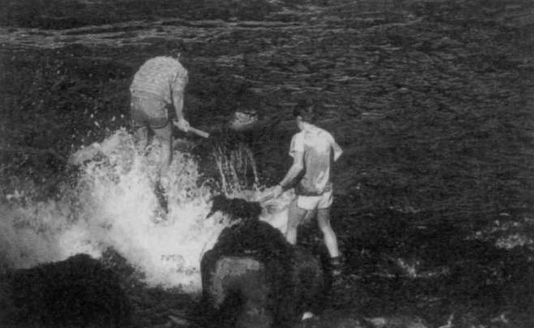 Algak jasotzea Urumea ibaiaren bokalean