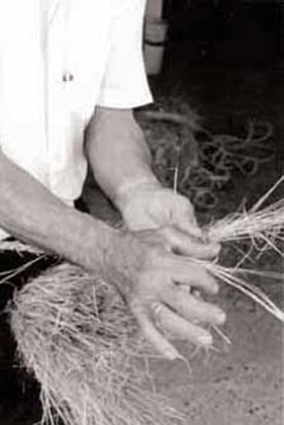 Irute lanaren xehetasuna