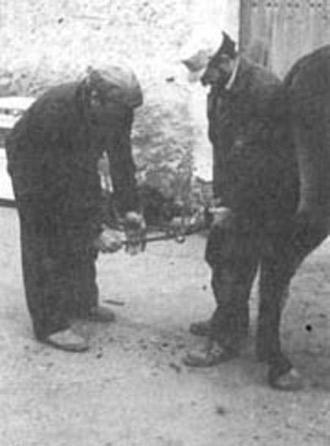 Herrando caballerías