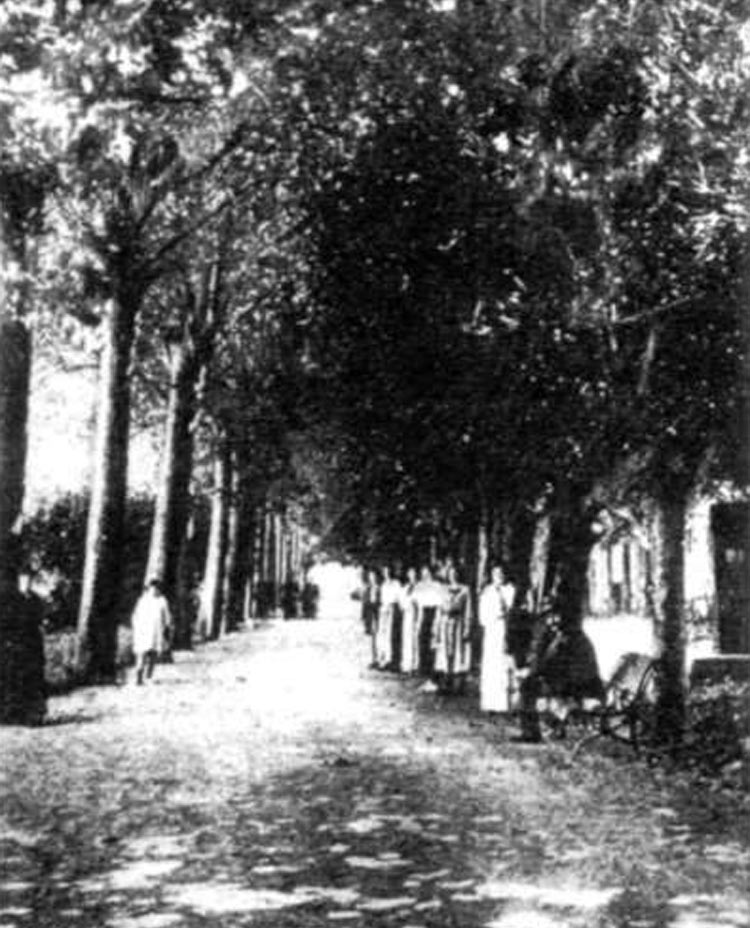 Alameda del balneario