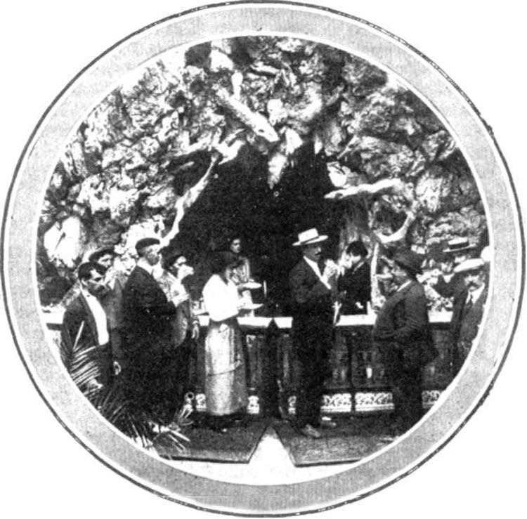 Tomando agua del manantial