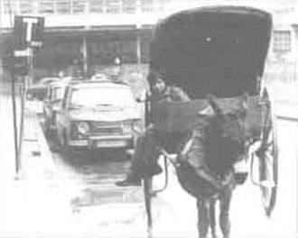 Bi garraiobide oso ezberdin