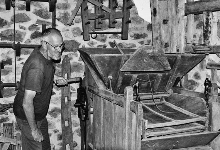 Preparación de panales