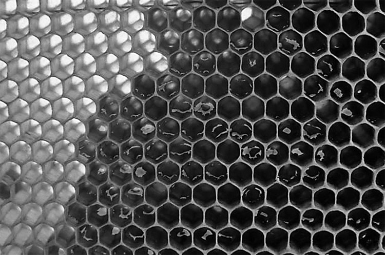 Erleek erlauntz ia-ia akasgabeak eraikitzen dituzte