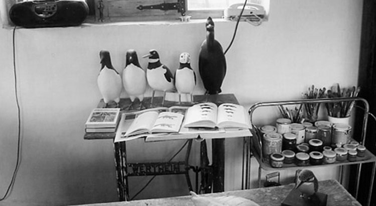 Libros y reproducciones de aves