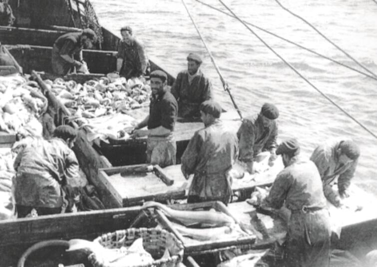 Arrantzaleak beren eginkizunean