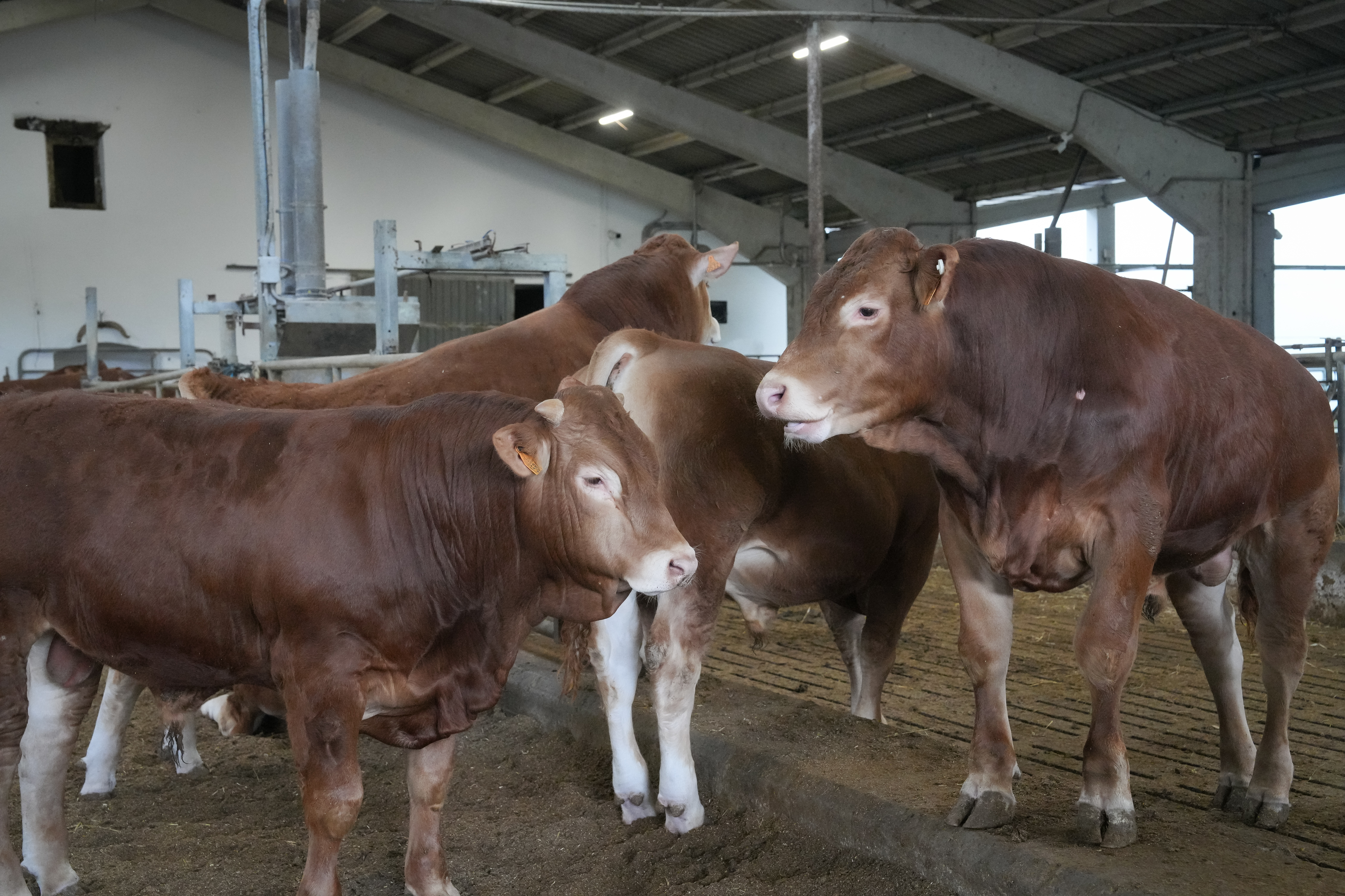 Gipuzkoako Foru Aldundia...