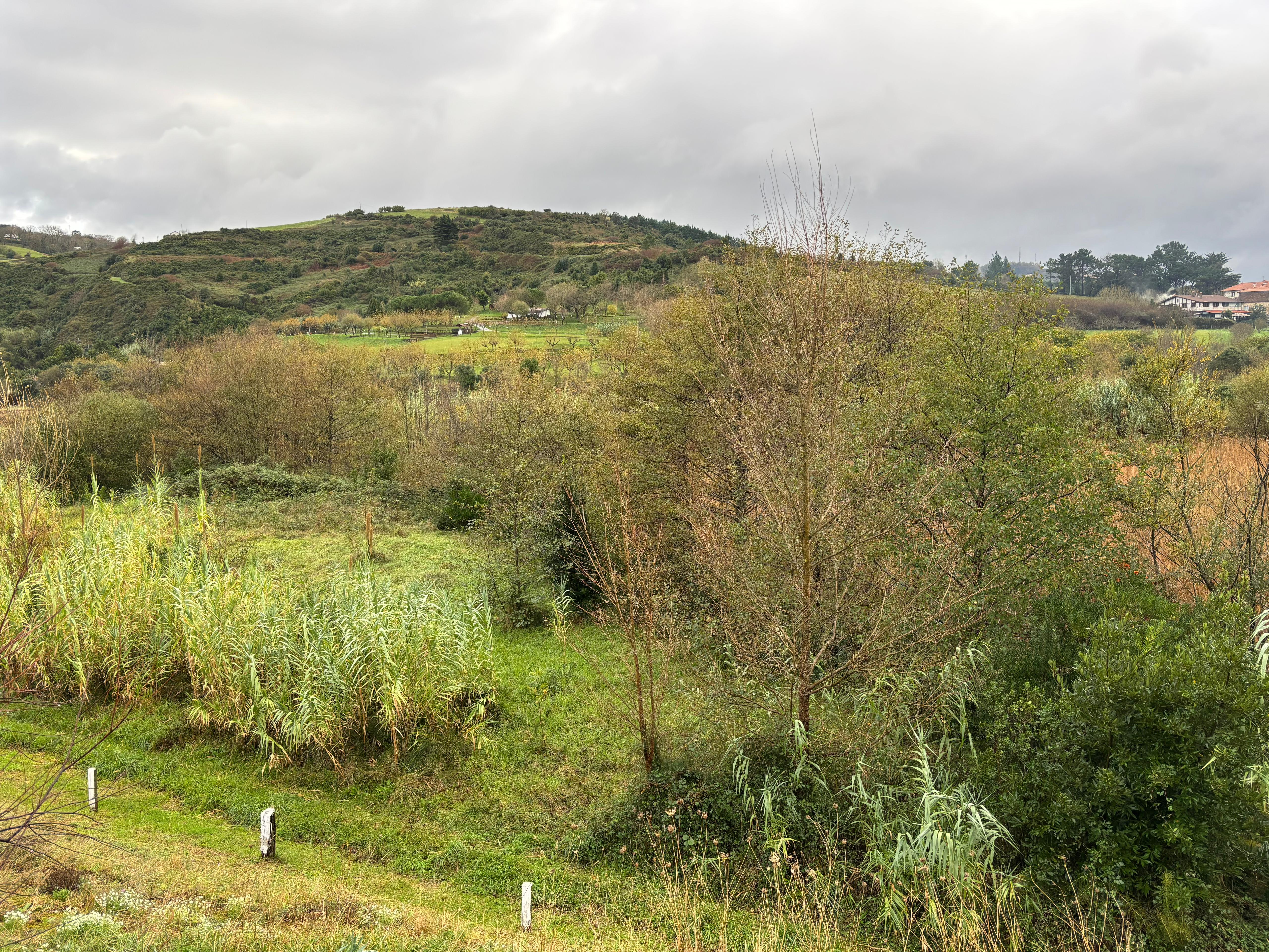 Gipuzkoako Foru Aldundia...