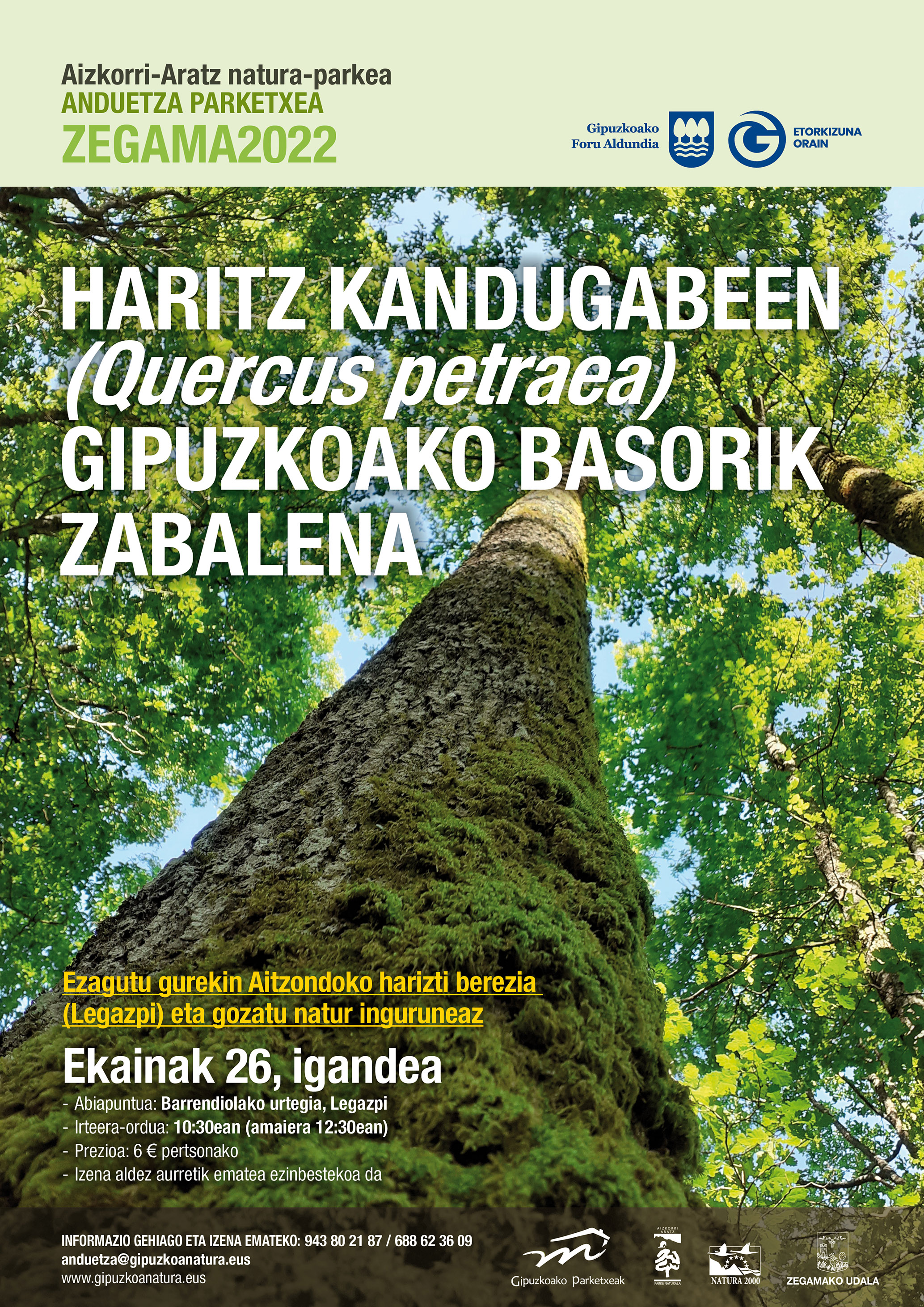 Ibilaldi gidatua: Haritz kandugabeen (Quercus petraea) Gipuzkoako basorik zabalena (Legazpi).