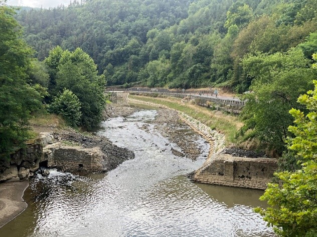 GIPUZKOAKO OZTOPOAK IRAGAZKORTZEKO PLAN ZUZENDARIA 2020/35