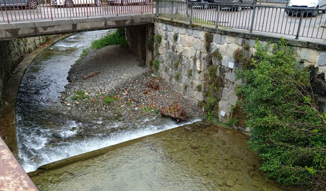 BIBLIOTECA ALEGIA IZENEKO PRESA TXIKIA ERAISTEKO PROIEKTUA