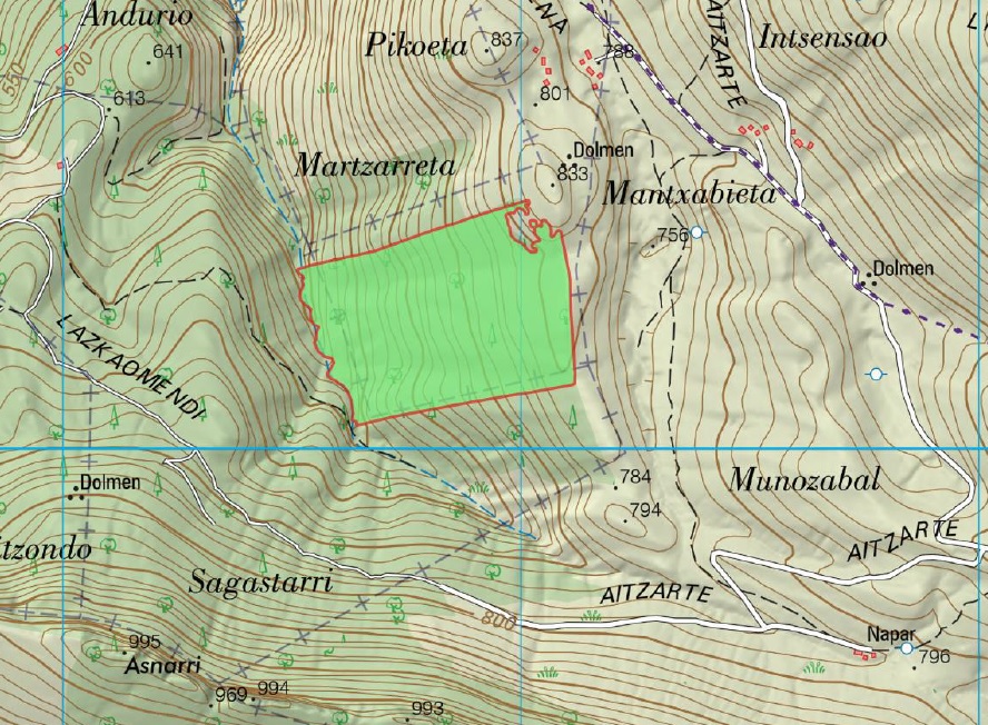 Publicado el Informe de Impacto Ambiental del aprovechamiento forestal en corta final del monte Martxieneta, en el Término Municipal de Zaldibia