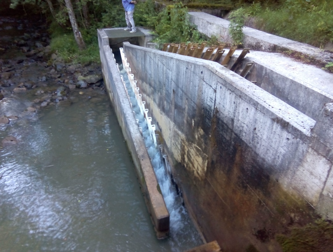 2. Añarbe Zentral Hidroelektrikoaren presa txikiaren Iragazkortasuna