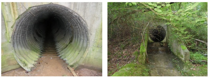 Se encuentra disponible para consulta y presentación de aportaciones la documentación para la evaluación de impacto ambiental simplificada del Proyecto de rehabilitación de varias obras de drenaje transversal en la AP-8 y GI-20