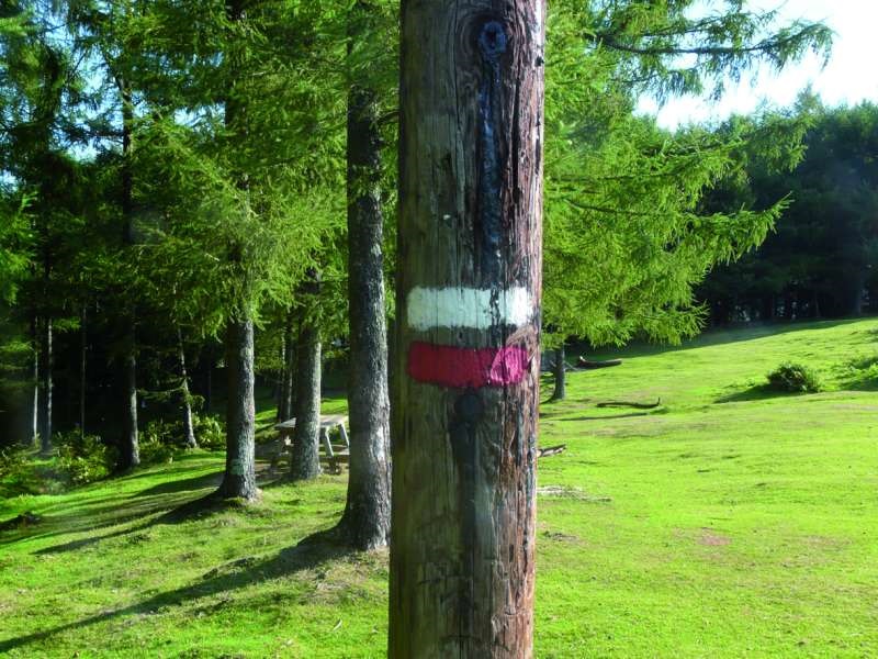 Gipuzkoako Lehenengo Emakumeen ibilaldia