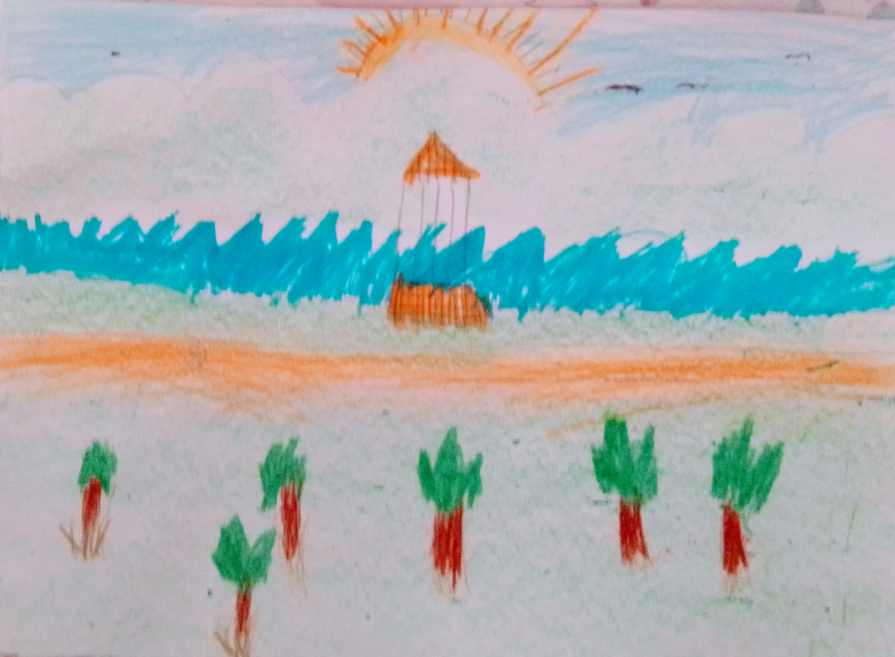 Descripción foto 13