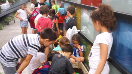 AZKOITIA: Baratzegintza