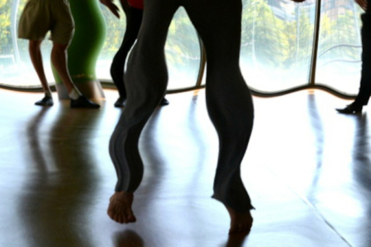 Foto de 
 El Departamento de Cultura del Gobierno Vasco publica dos informes para el dimensionamiento de la brecha de género en el sector de la danza
