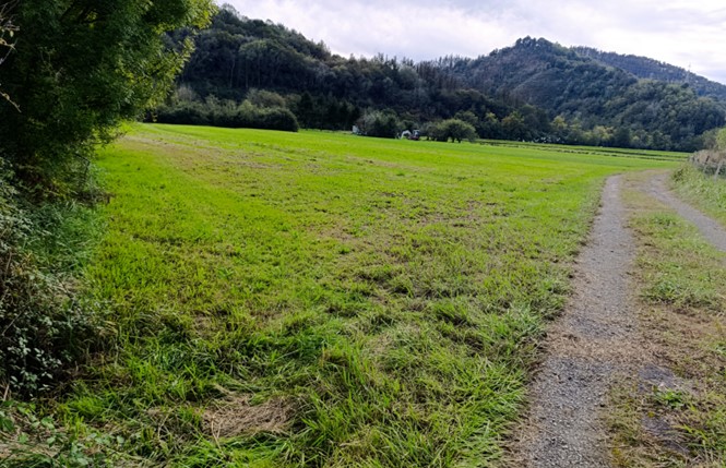 Lursailaren ikuspegi orokorra