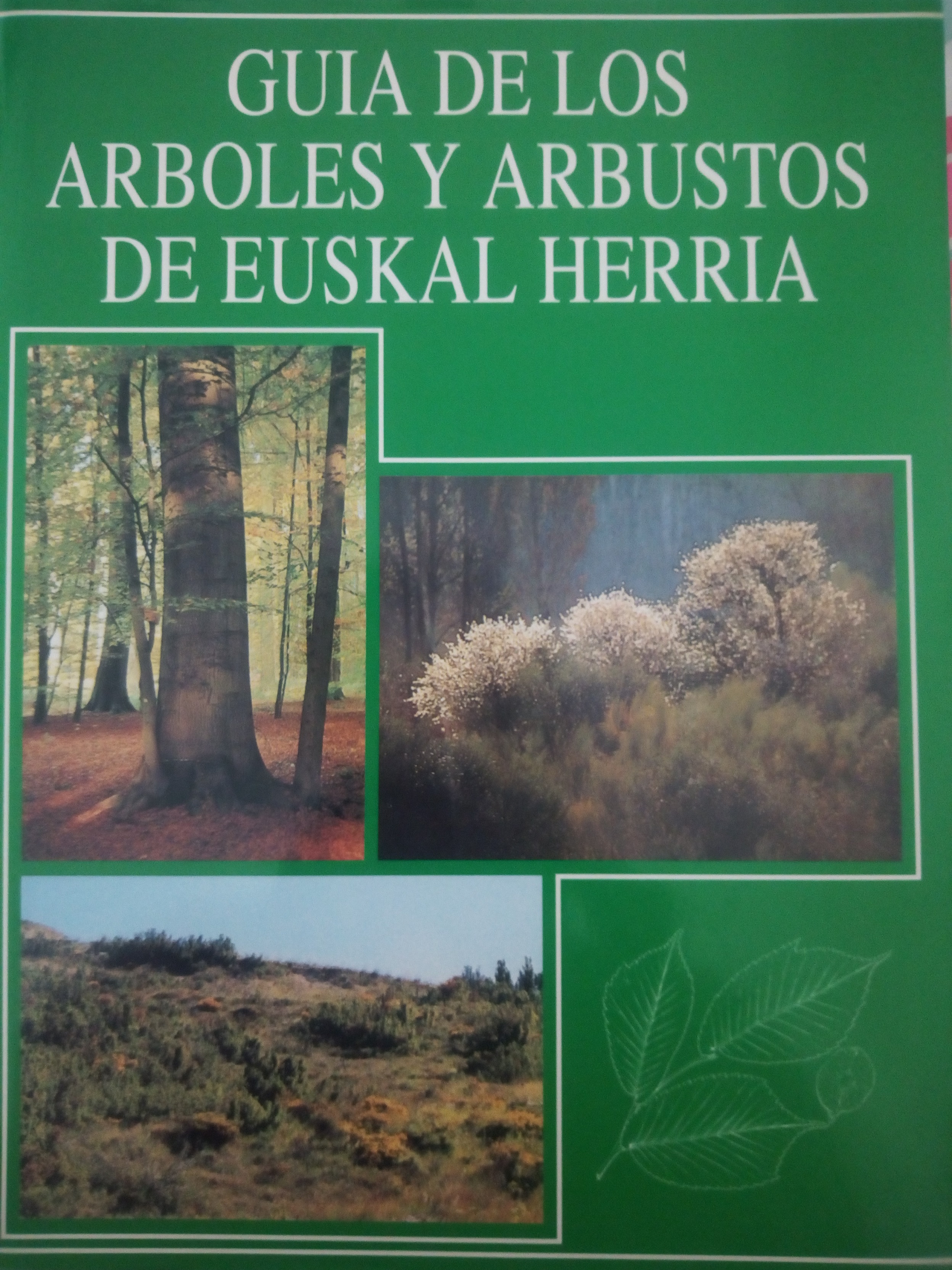 GUÍA arboles y arbustos CAPV