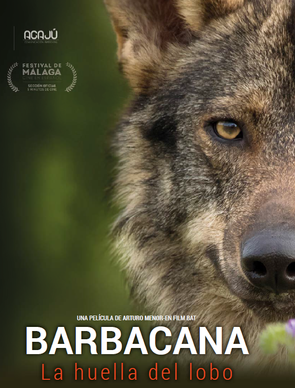 Barbacana, la huella del lobo