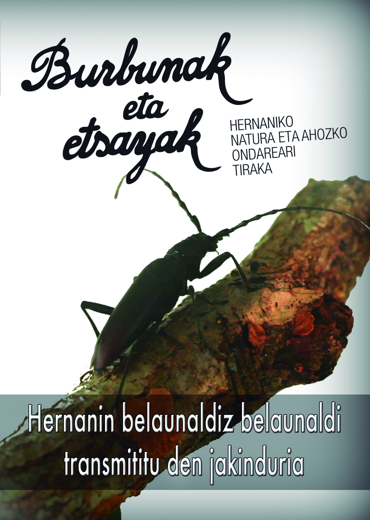 Burbunak eta Etsayak