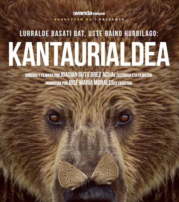 Cantábrico (Kantaurialdea)