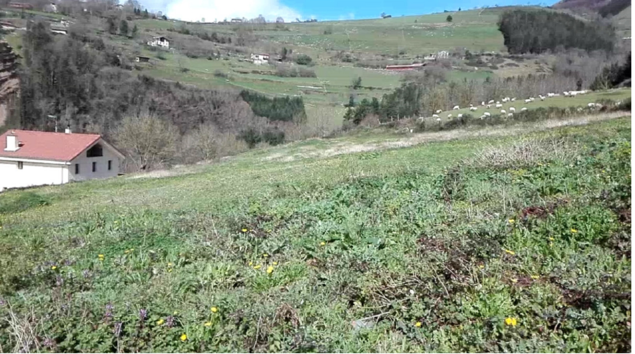 Plan Parcial del A.U. 5 