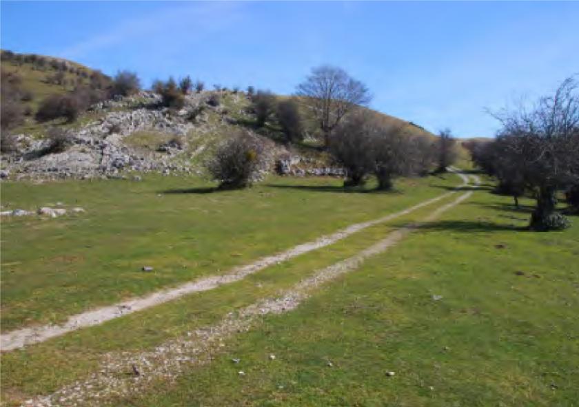 Proyecto de acondicionamiento para vehículos a motor del camino entre Enirio y las Txabolas de Igaratza en Aralar