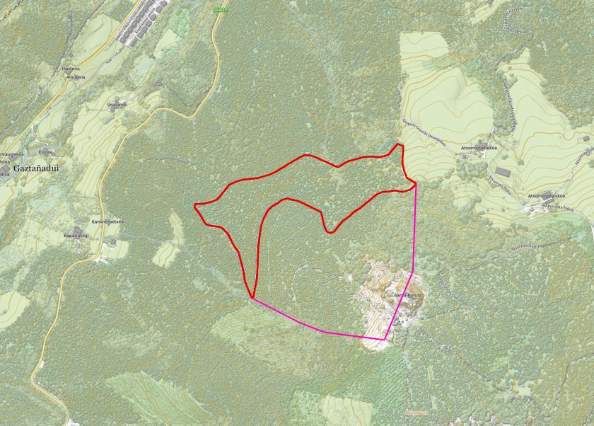 Pinudia moztea eta baso autoktonoa birsortzea Eskoriatzako 3. poligonoko 182. lursailean