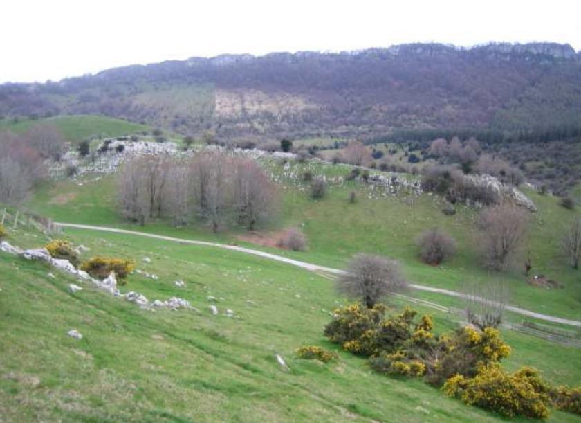 Proyecto de ordenación y restauración de accesos a txabolas y manga Saltarri de Aralar