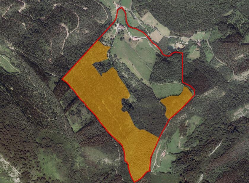 Lazkaoko 8. Poligonoko 139. Lurzatiko Baso-Aprobetxamendua