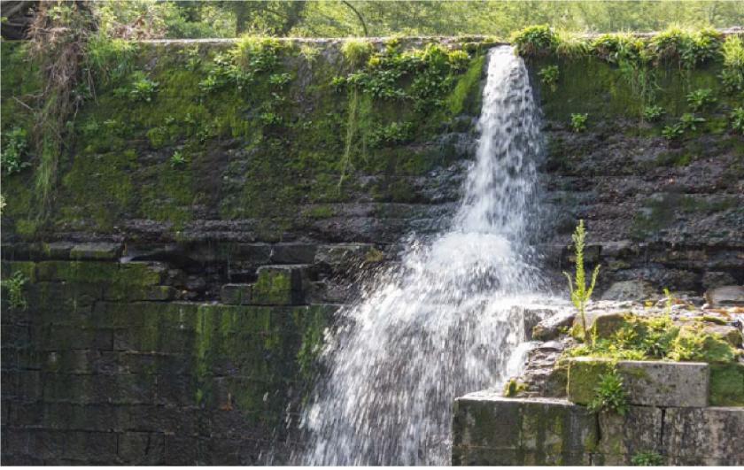 Proyecto de demolición del azud Olloki en el río Leitzaran