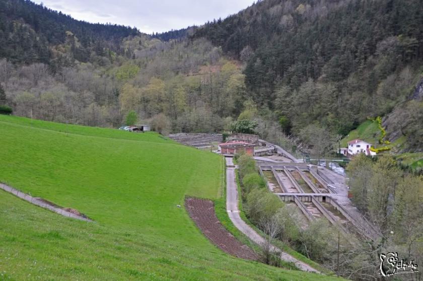 Demolición de azud y restauración ambiental de la piscifactoria de truchas Erreka en Andoain