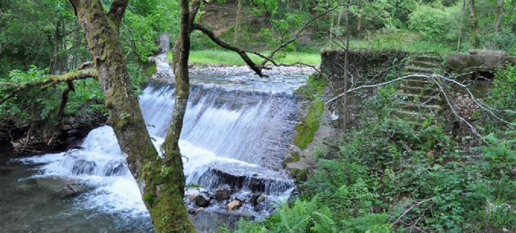 Proyecto de demolición de la presa de Galtzaraberri en la regata Karrika. Fase 2