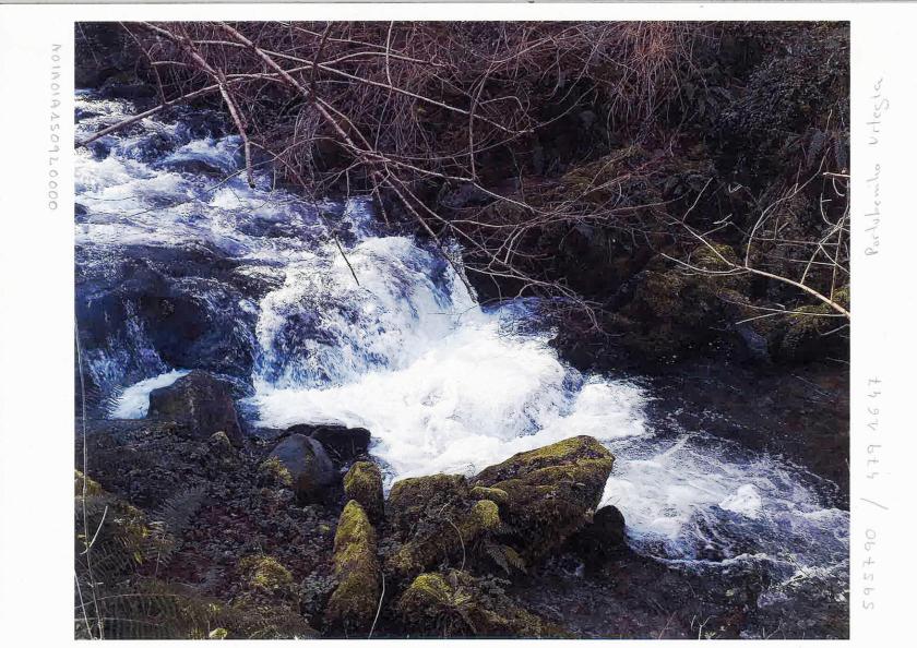 Reparación de la rampa en el azud CH de Ergoien