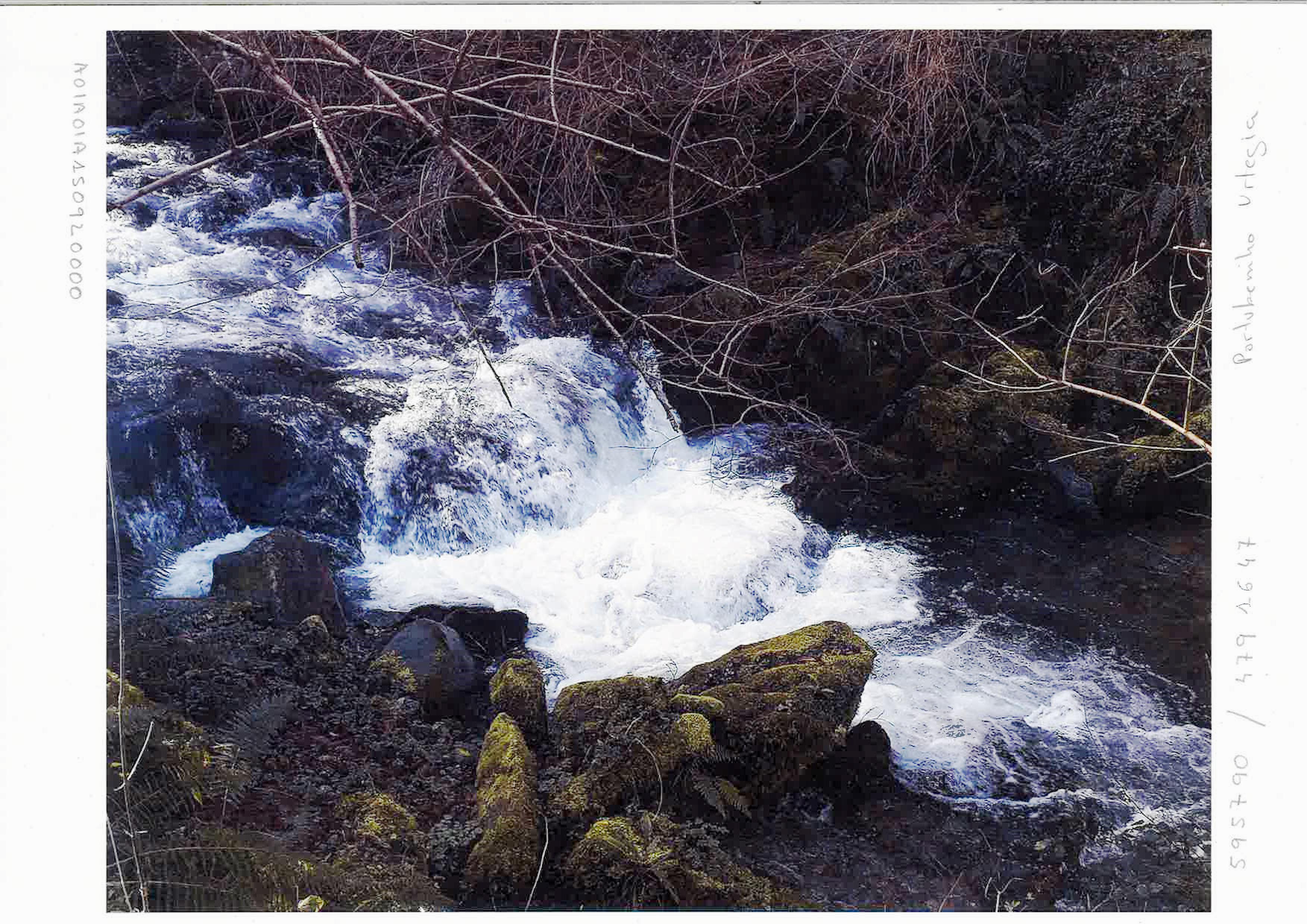 Ergoiengo CH Presa txikiaren arrapalaren Konponketa