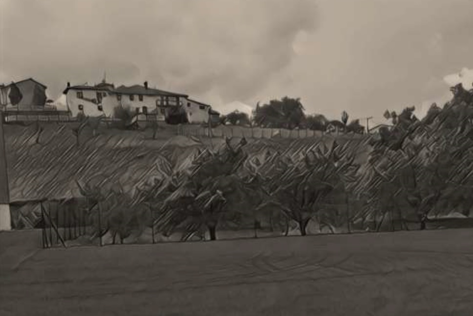 Plan Especial de Ordenación Urbana A.U. 11 Odrinox