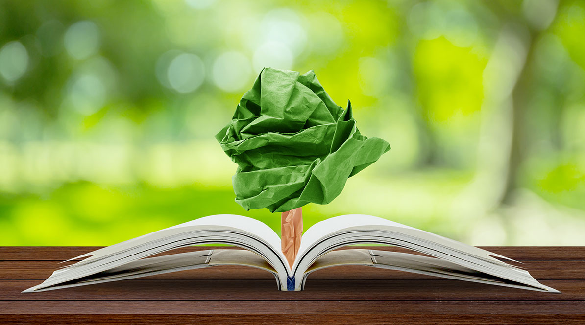 Nekazaritza-ekologian, hiri-biodibertsitatean eta espezie mehatxatuen kontserbazioan berritzaileak diren hiru proiektuk Jasangarritasun Departamentuaren laguntza jaso dute